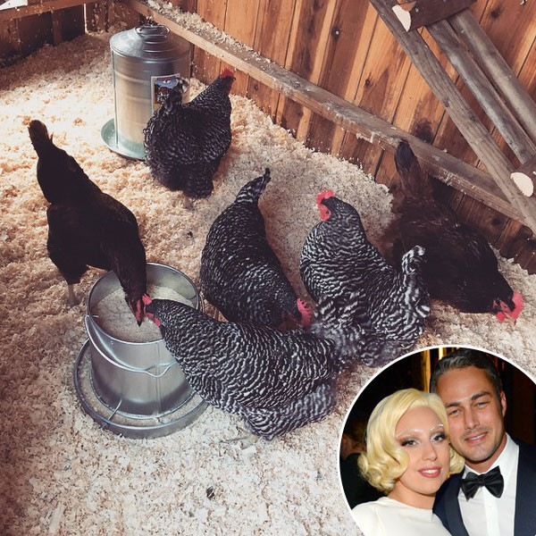 Lady Gaga, Taylor Kinney, Instagram Lady Gaga, Taylor Kinney, Instagram